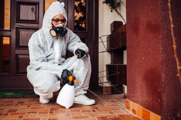 Reliable Wasp Removal contractor in West Pleasant View, CO by Show Me Pest Control